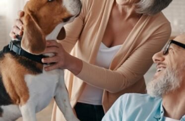 image-banner1 image-banner1