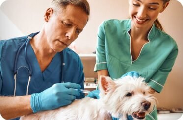 img-postgrid1 img-postgrid1